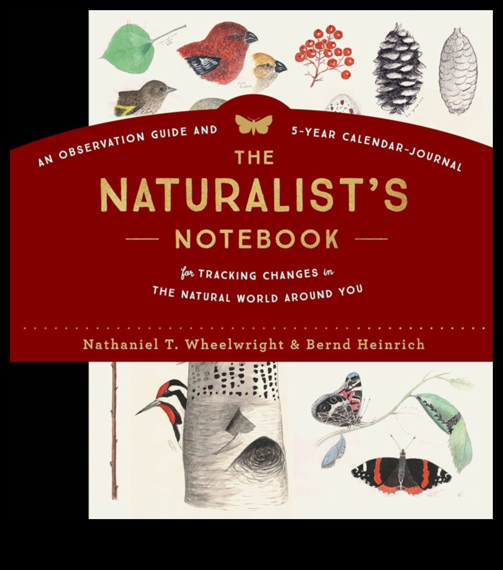 Dabas piezīmju grāmatiņa: āra pieredzes žurnālu ierakstīšana