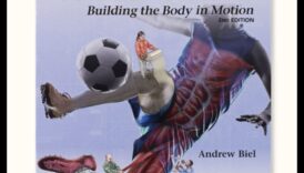 Dinamikas atklāšana: Ceļotāja kustības ceļvedis