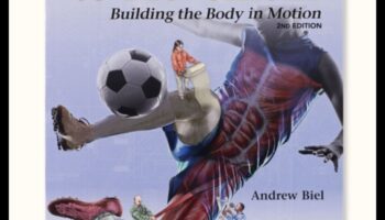 Dinamikas atklāšana: Ceļotāja kustības ceļvedis