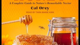 Nomad's Nectar: ​​malkojot ceļojumu padomus