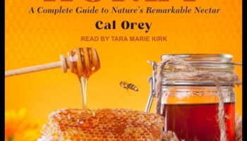 Nomad's Nectar: ​​malkojot ceļojumu padomus